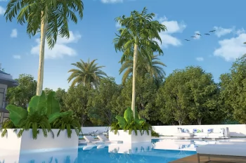 Special Project 7 - small